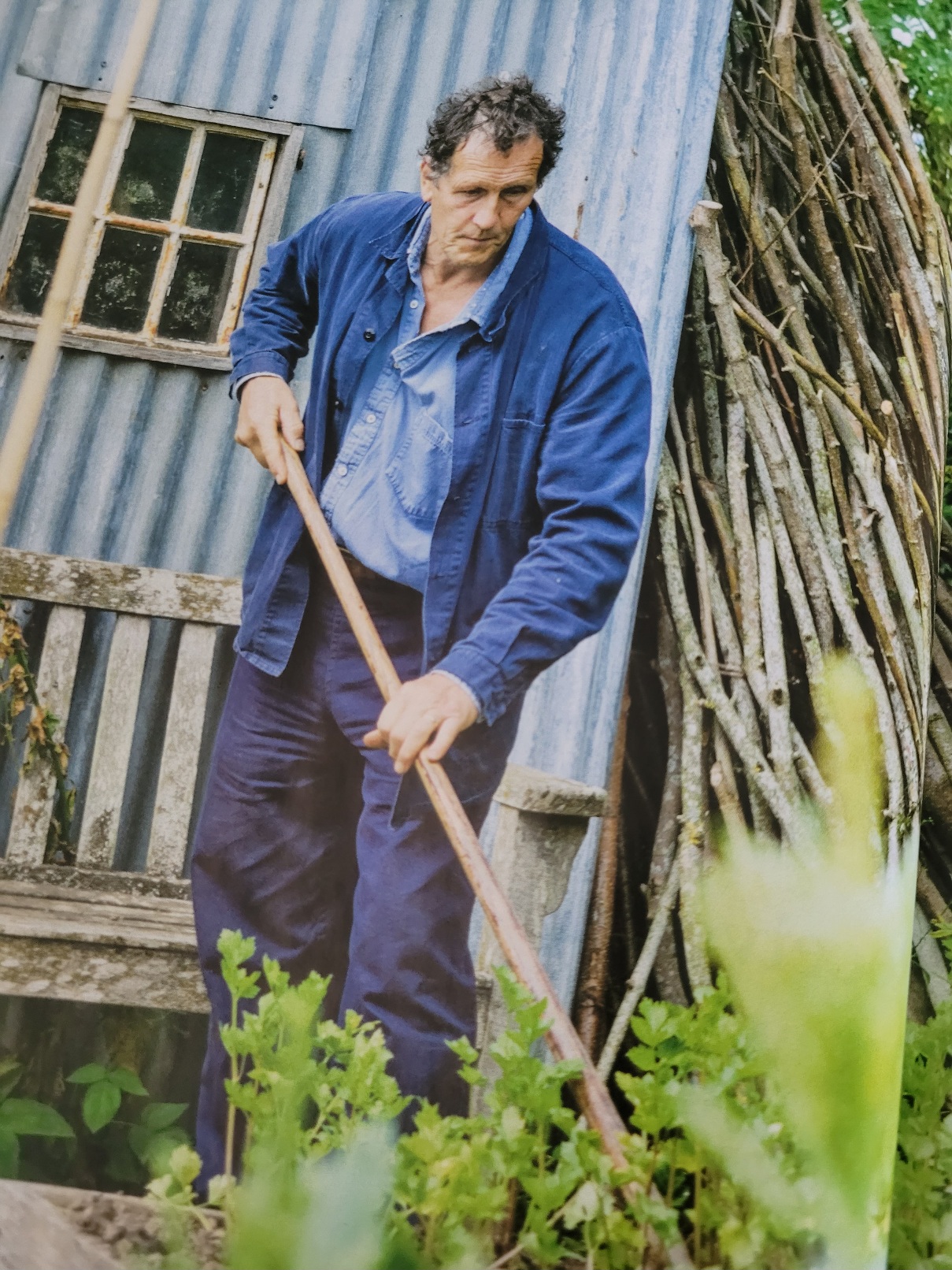 Monty Don lehden sivulla