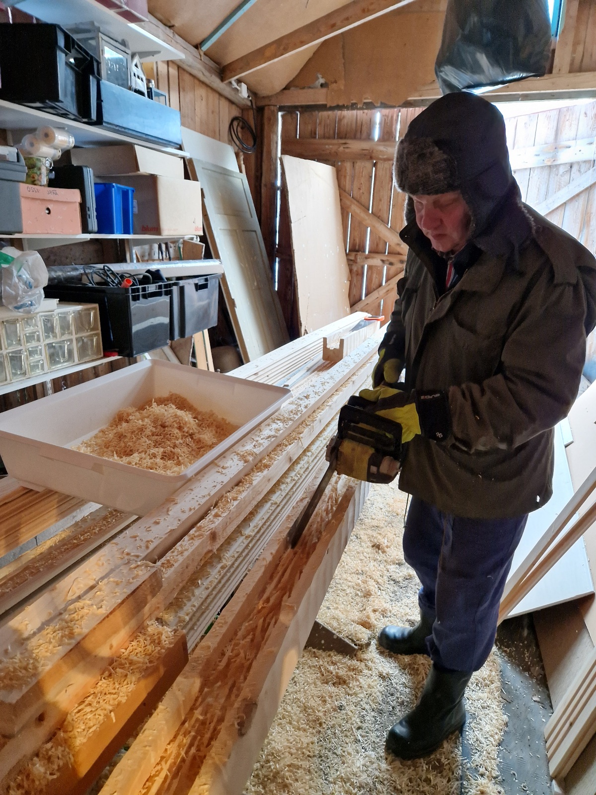 mies veistää moottorisahalla